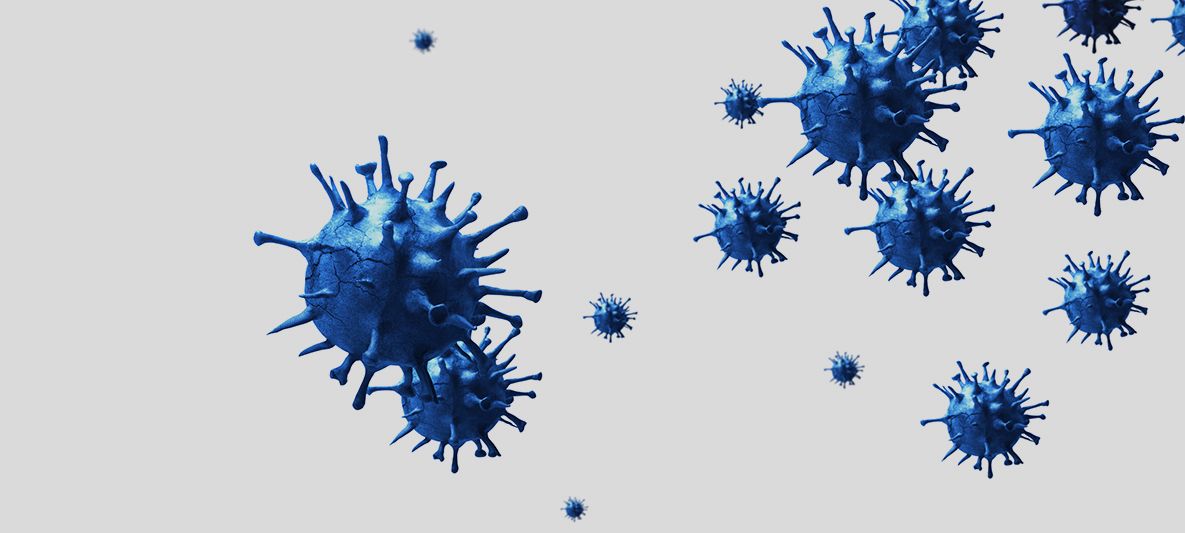 Zellen des neuartigen Coronavirus. Zellen des neuartigen Coronavirus.