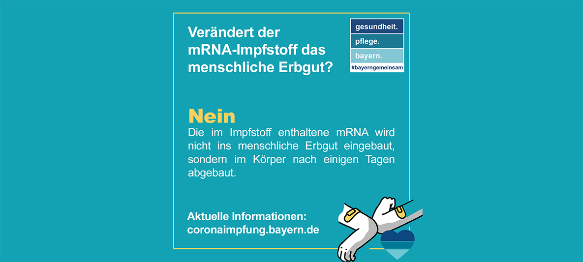 Erbgut Erbgut